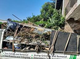 Best Yard Waste Removal  in Canton, NC